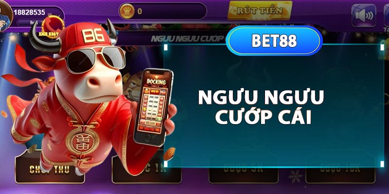 Ngưu ngưu cướp cái